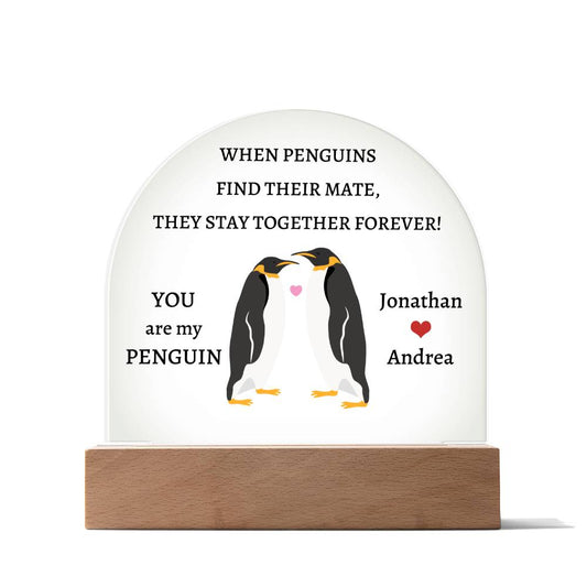 Domed Acrylic Plaque, you are my penguin, gift for boyfriend, girlfriend, husband, wife for anniversary, Christmas, Valentines Day