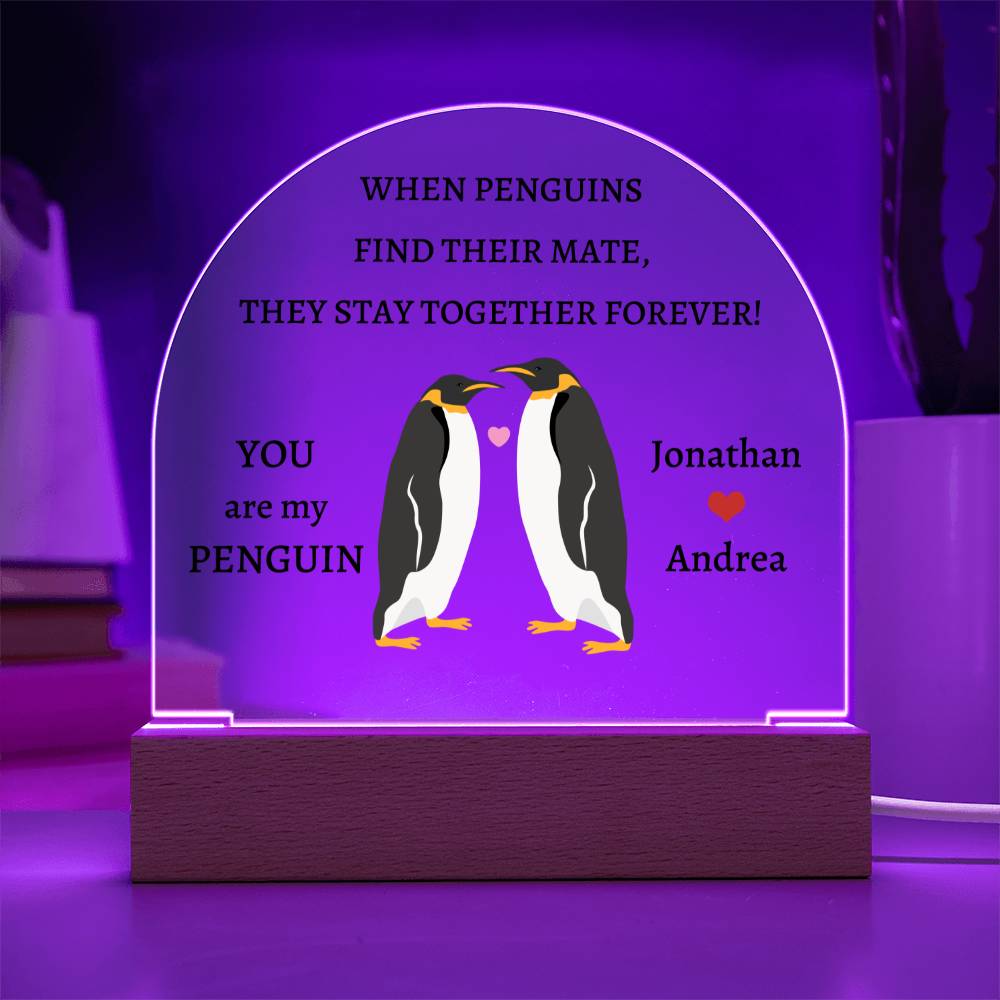 Domed Acrylic Plaque, you are my penguin, gift for boyfriend, girlfriend, husband, wife for anniversary, Christmas, Valentines Day