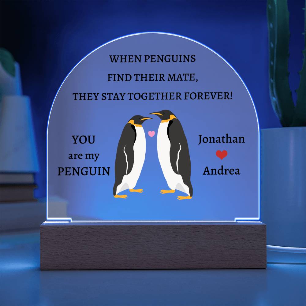 Domed Acrylic Plaque, you are my penguin, gift for boyfriend, girlfriend, husband, wife for anniversary, Christmas, Valentines Day