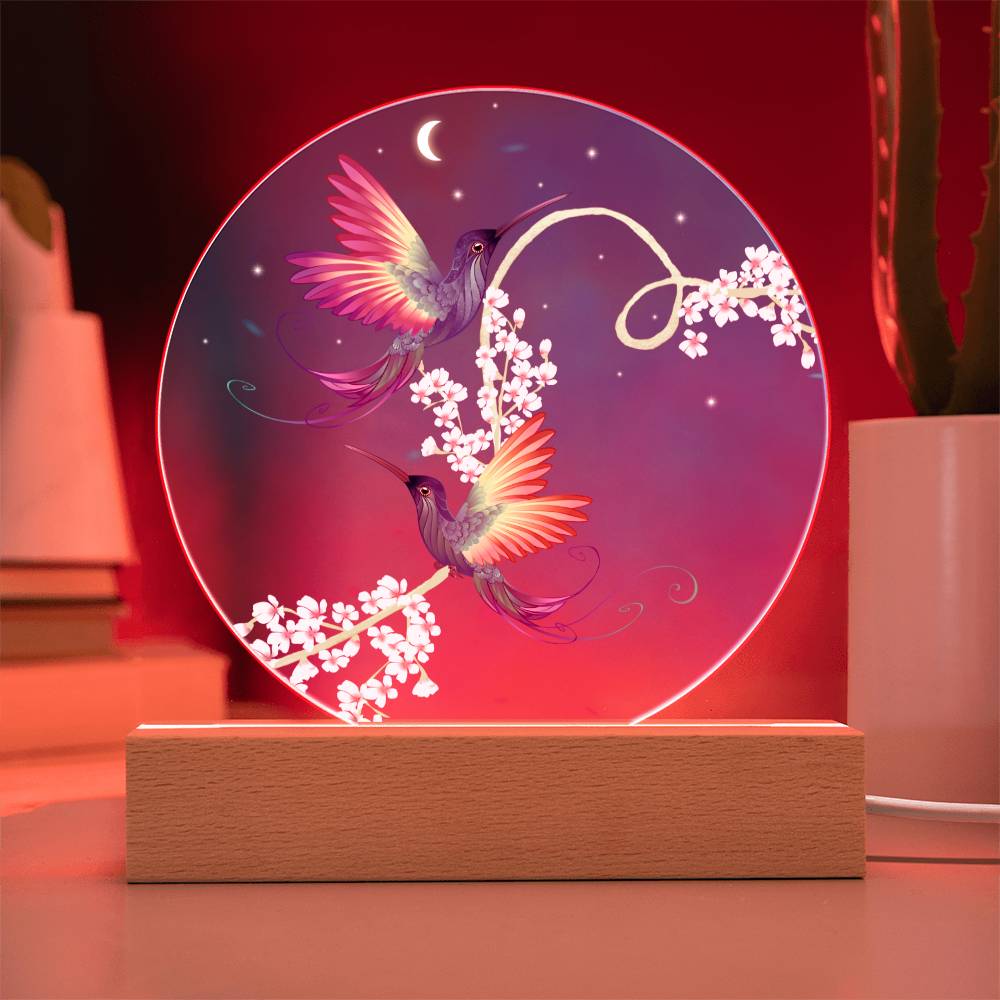 Printed Circle Acrylic Plaque with LED, Hummingbird gift for Mom on Mother's Day